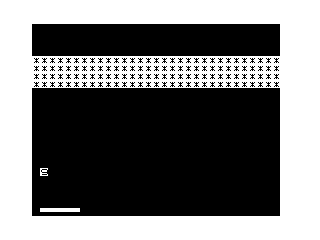 3K ZX80 Breakout Screenshot